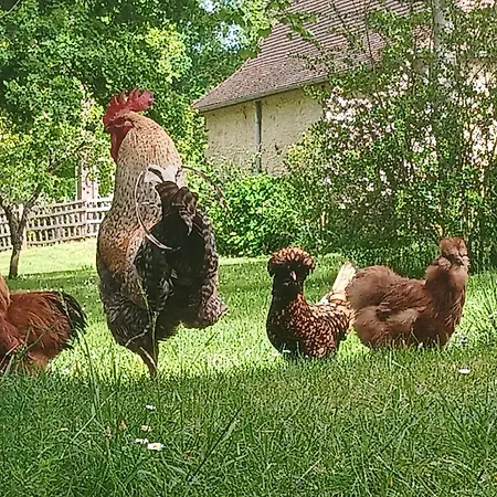 Nyaraló Charming In Journiac With Pool Access