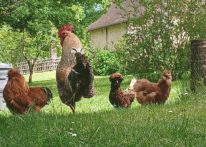 Nyaraló Charming In Journiac With Pool Access